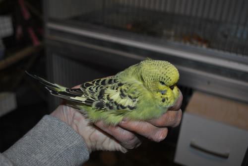 DSC_1978 DSC_1978