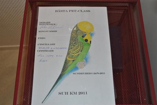 PET dipl PET dipl
