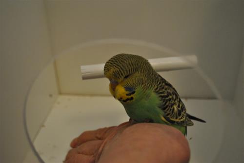 DSC_1854 DSC_1854