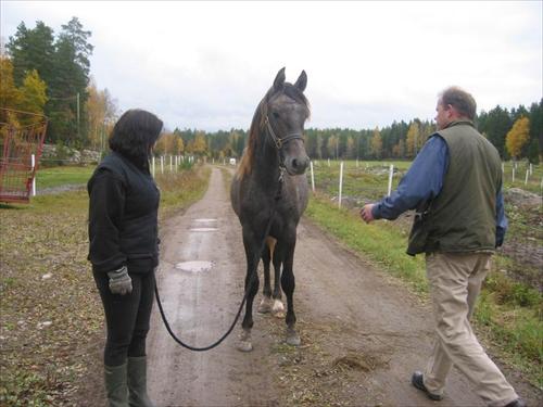 Garon Ingela säljs Garon Ingela säljs