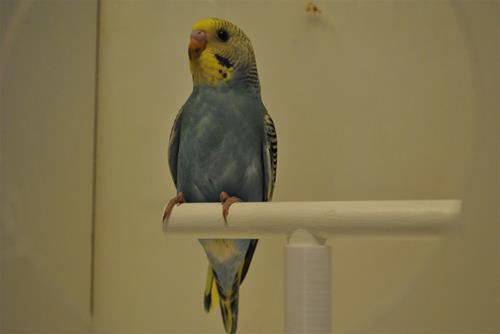 DSC_1941 DSC_1941