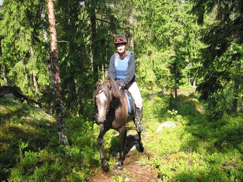 Sanaz Inger tränar Sanaz Inger tränar