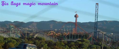 six flag six flag
