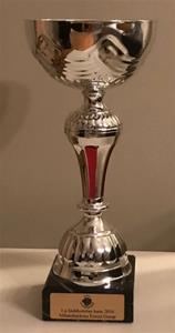 pokal pokal