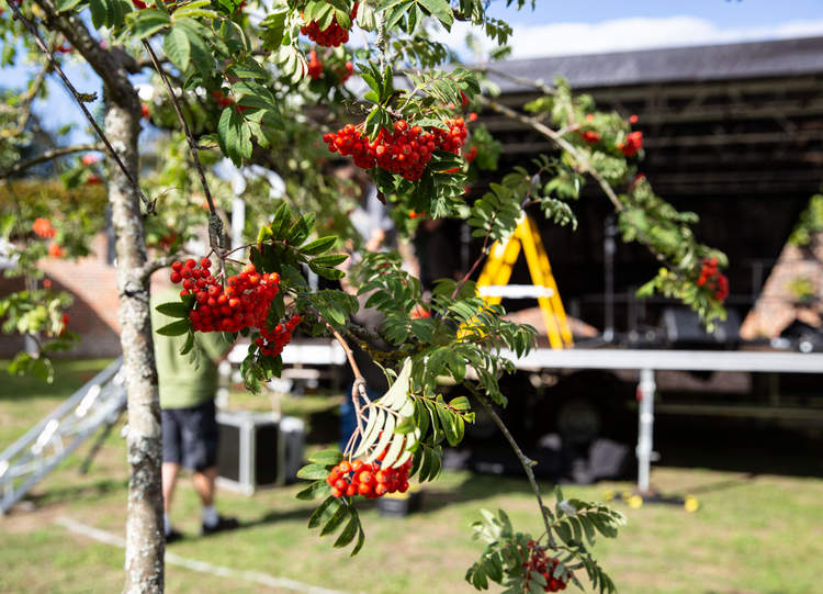 Getting Ready for BerkoFest 2018