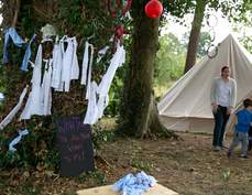 Wishes on the Wishing Tree