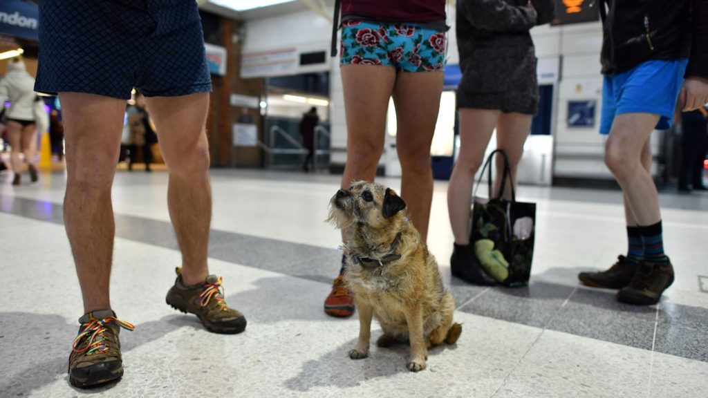 Londoners organise 'No Trousers Tube Ride' to help banish the January blues.