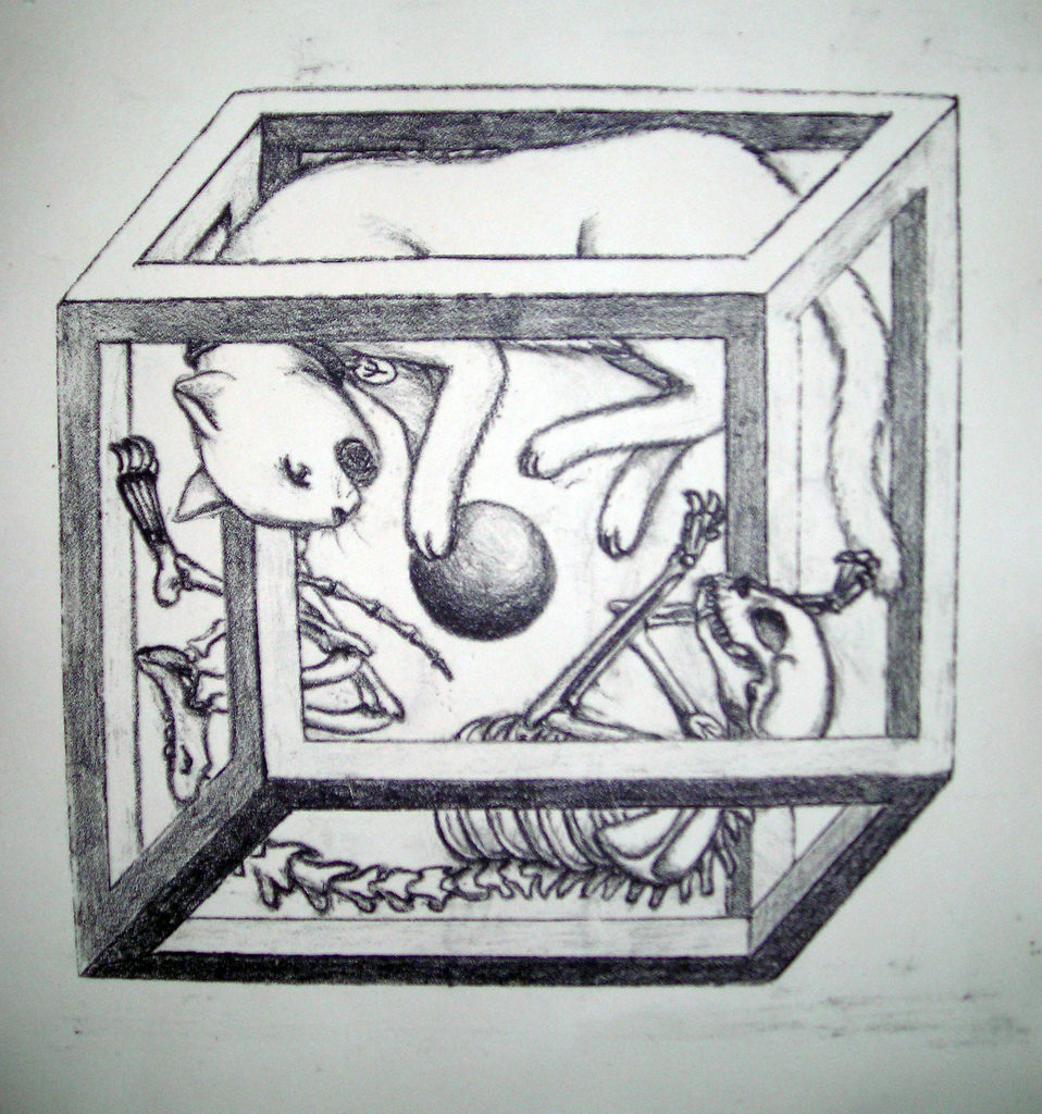 Explaining The Quantum World... Sort of