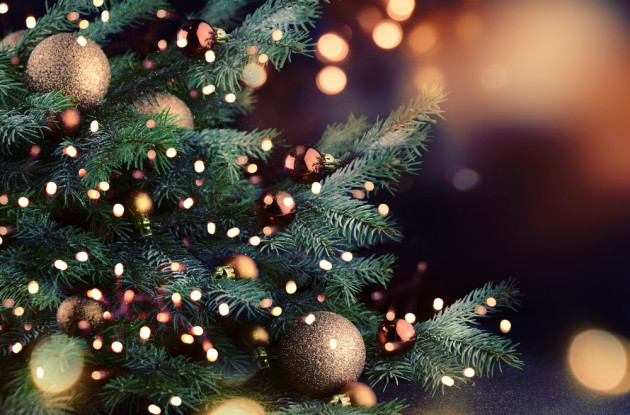 Down to Earth: A Green Christmas