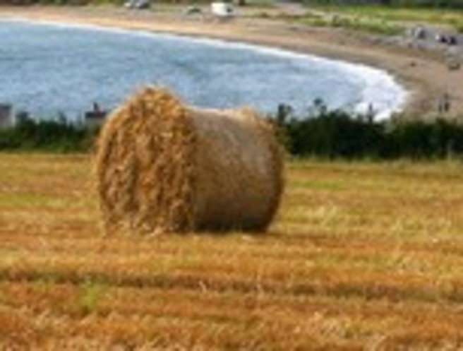 The Economic development of rural Ireland episode artwork