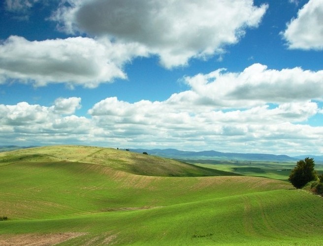 Field Names of a Country episode artwork