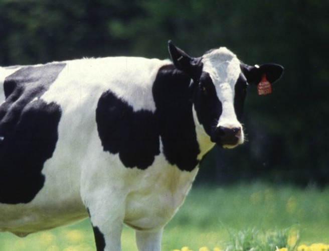 Farming on Moncrieff episode artwork
