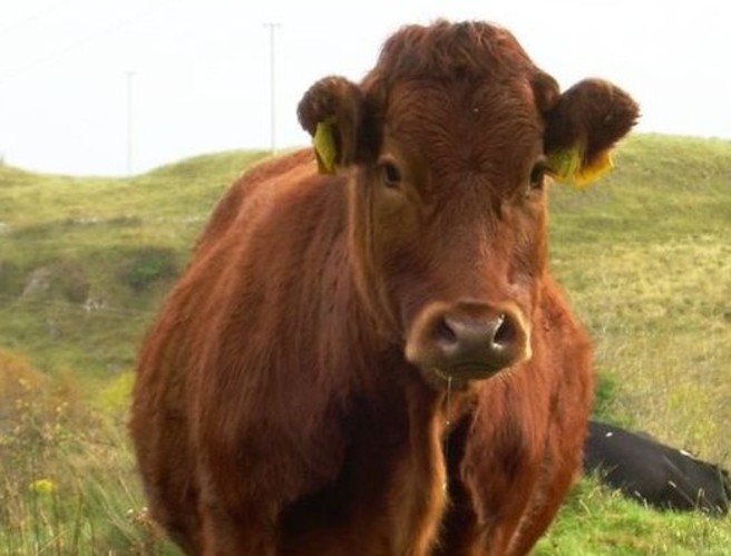 New schemes for young farmers episode artwork