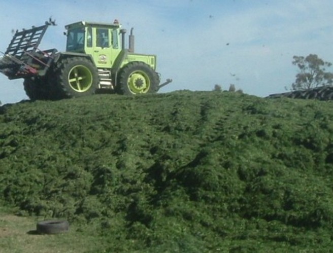 Silage season episode artwork