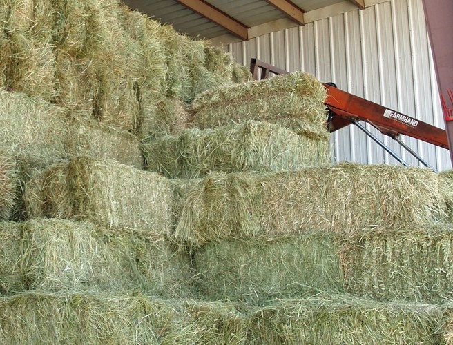 Making Hay episode artwork