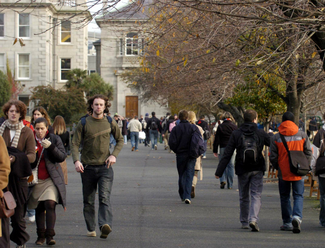 CAO points rise for agriculture-related courses episode artwork