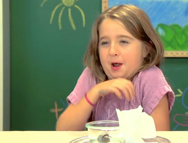 My 4 year old is an extremely picky eater episode artwork