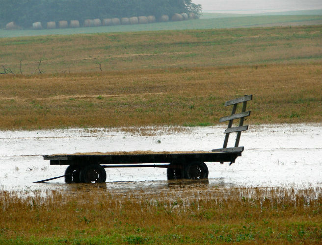 Farming in the rain, hail and shine episode artwork