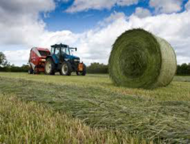 Afternoon Delightful for Silage Cutting episode artwork