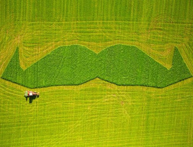 Farming: Fovember, free health checks, tachographs episode artwork