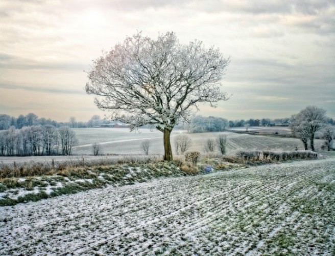 Farming: Winter is Coming, Safe Family Farms Initiative episode artwork