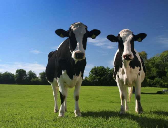 Farming: The Great 2015 Farming Slot Quiz episode artwork