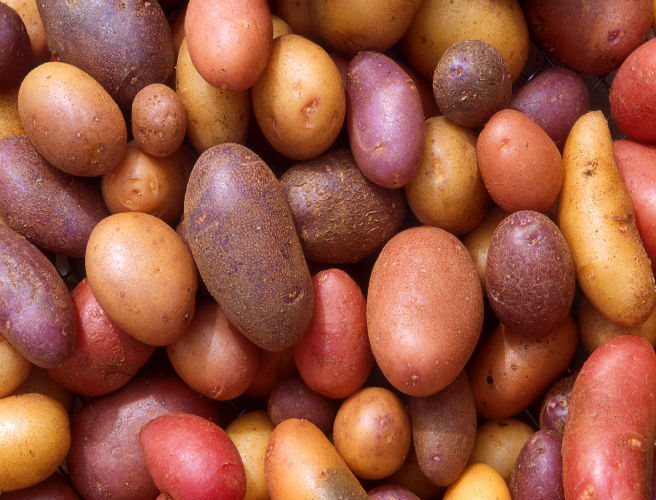 Farming: new tractor rules, potato sales increase episode artwork