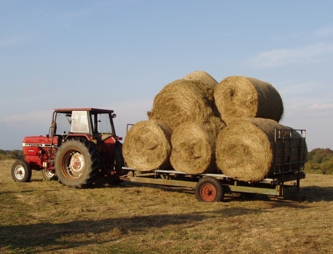 It's haymaking weather episode artwork