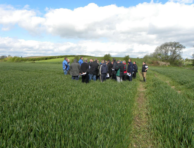 Farming: CAO points have dropped for Ag Science episode artwork