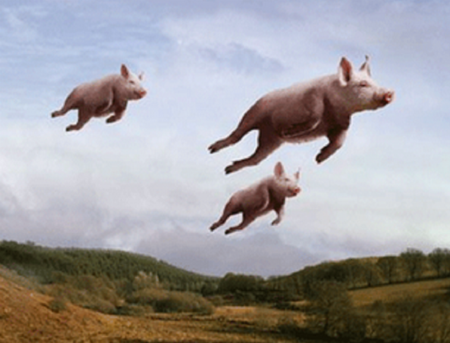 Farming: Pigs Really Do Fly episode artwork