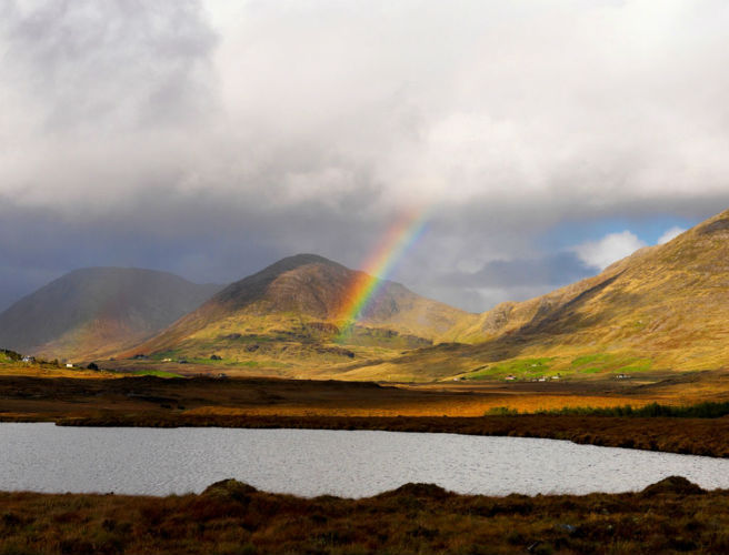 The Irish Summer: A tale of two halves for farmers episode artwork