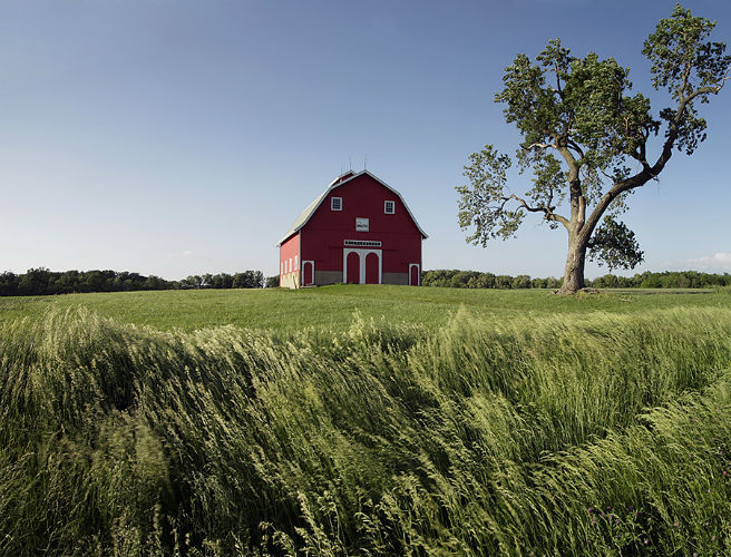 Farming: Will Trump make American farmers great again? episode artwork