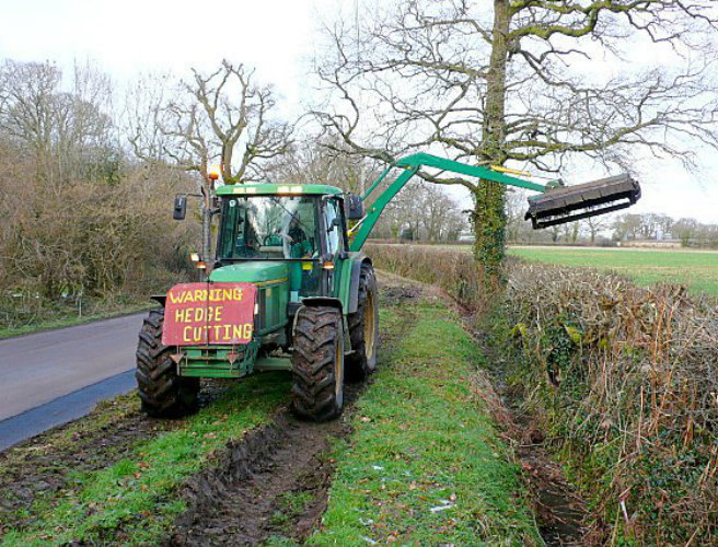 Hedge cutting to stop as of today episode artwork