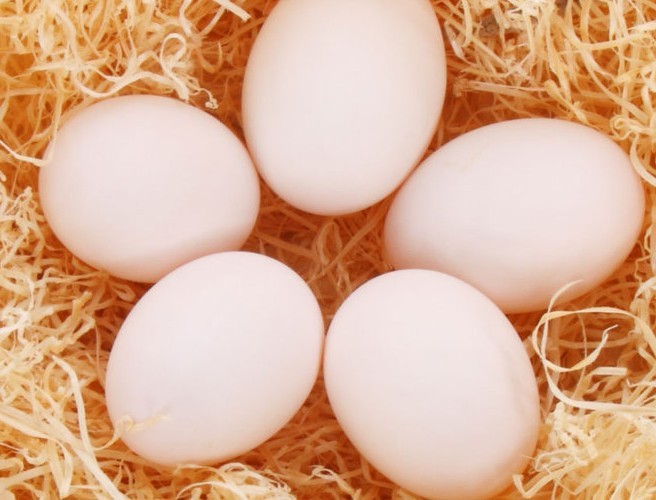 Farming with Mairead: No more free range eggs episode artwork