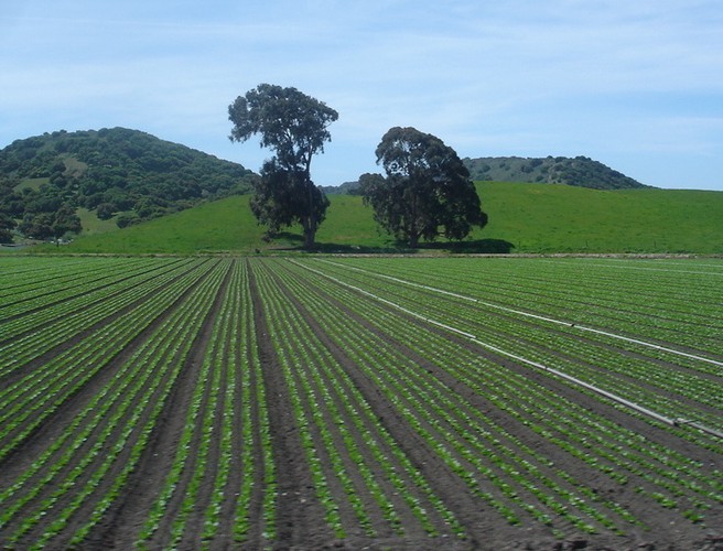 Farming with Mairead: Ireland's Biggest Field..its huge episode artwork