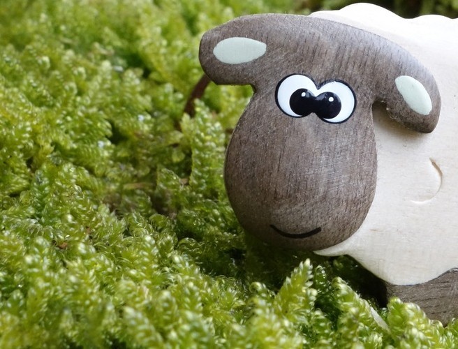 Sheep Shearing Season..... episode artwork