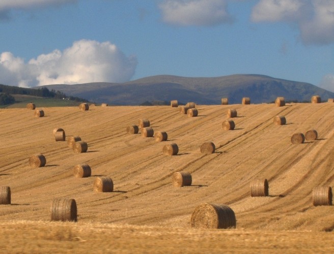 Making Hay While The Sun Shines episode artwork
