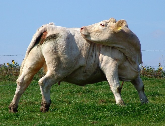 Farming with Mairead Lavery: Butter prices skyrocket episode artwork