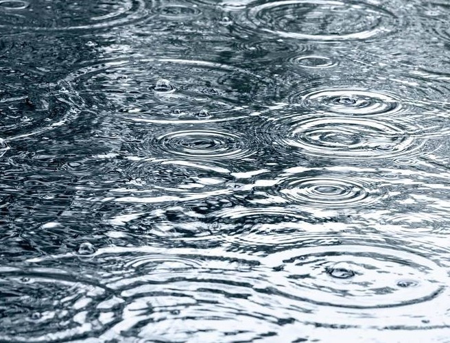 Farming with Mairead: Rain makes our fields messy episode artwork