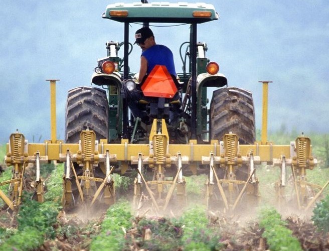 Farming live from The Ploughing Championships episode artwork