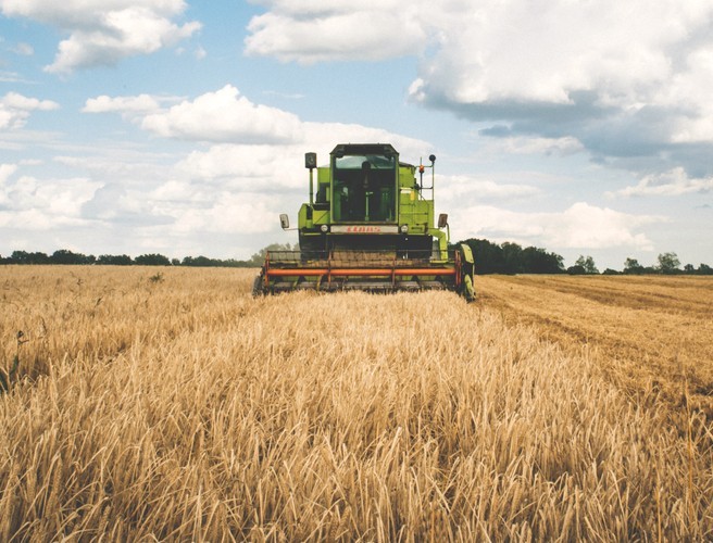 Farming with Mairead: Farms Eating Into Feed Stocks ! episode artwork