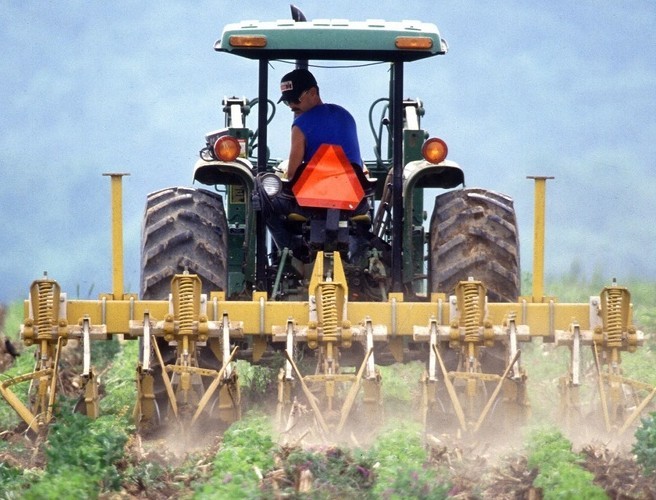 Farming With Mairead:Fly Tipping On Farmland episode artwork