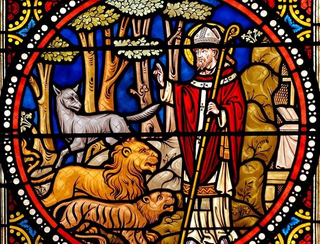 Who was St Patrick? episode artwork