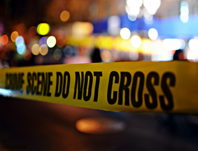 Curbing Crime episode artwork