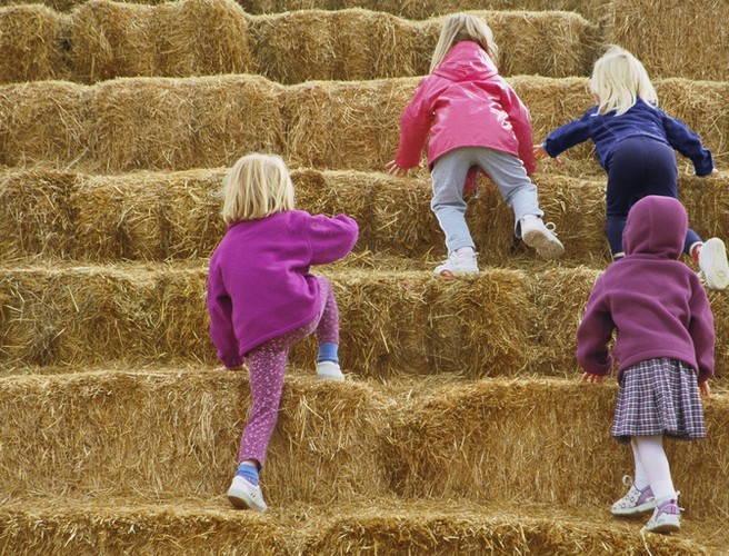 Farming: Making hay in this sunny weather episode artwork