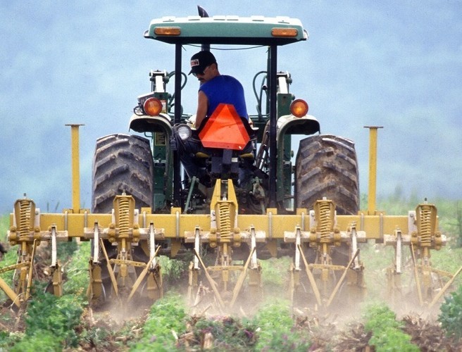 Farming: Shopping trends in China episode artwork