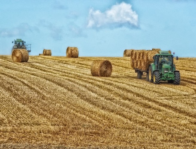 Ireland is short 1 million bales of silage episode artwork
