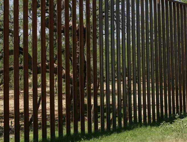 Farming: Fencing off African Swine Fever episode artwork