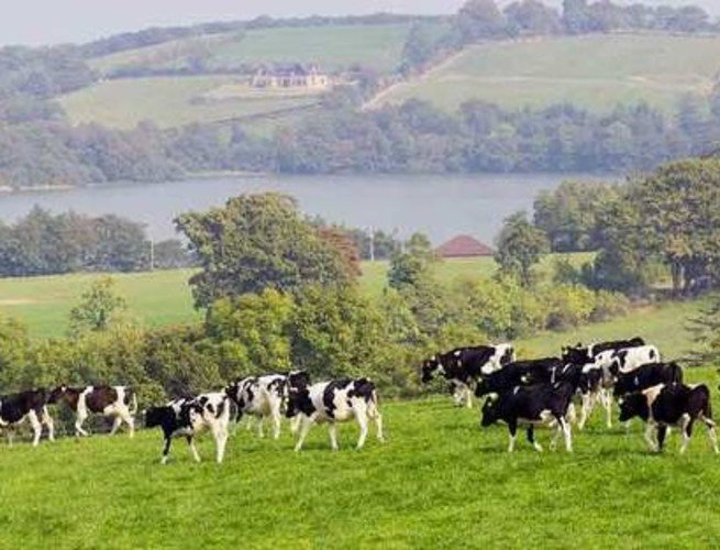 Farming:How drones can take the hardship out of herding episode artwork