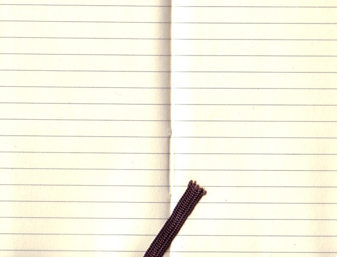 Parenting: Should I read my child's diary ? episode artwork